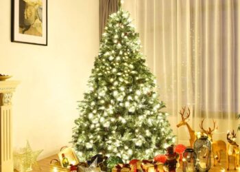 Meteo: Natale 2024, prime tendenze