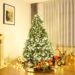 Meteo: Natale 2024, prime tendenze