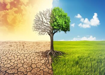 Cambiamento climatico: cos’è, cause, conseguenze e soluzioni