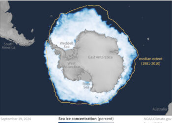 Dicembre e l’estensione del ghiaccio: un bilancio preoccupante per l’Artico e l’Antartico