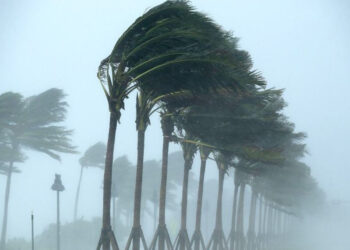 Venti fortissimi: Sud della California in allerta