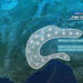 Meteo: ondata di freddo in arrivo con piogge e neve al Nord