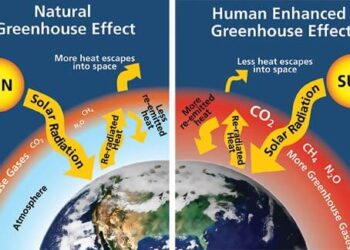 Cambiamento climatico cause e conseguenze