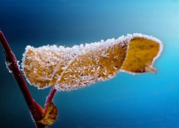 Meteo: gelate notturne ma freddo invernale lontano