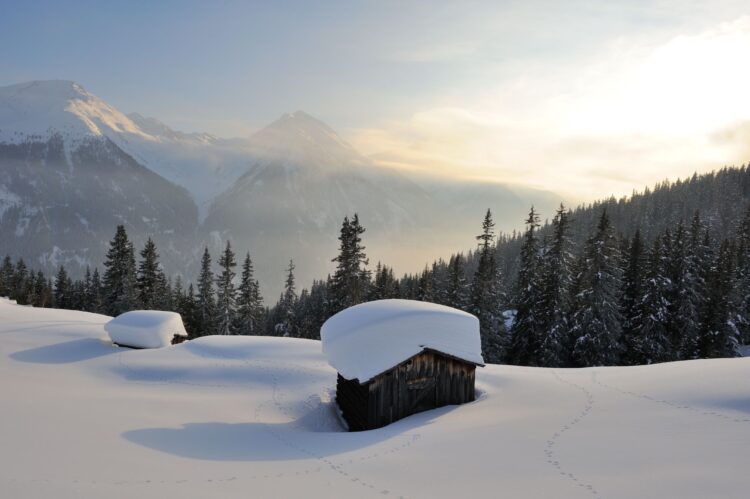 Meteo: febbraio 2025 con il ritorno della neve? Si ma non ovunque Meteo: febbraio 2025 con il ritorno della neve? Si ma non ovunque