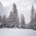 Meteo, al nord neve e ondata di freddo in settimana Meteo, al nord neve e ondata di freddo in settimana