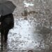 Meteo: febbraio 2025, tempo in peggioramento a fine mese
