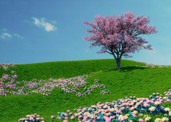 Ondata di freddo veloce: poi sarà primavera
