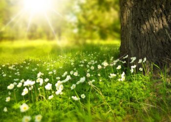 Meteo di primavera: marzo 2025 con massime anche oltre i 20°
