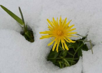 Il meteo di marzo 2025