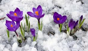Il meteo di marzo 2025, tra primi tepori primaverili e freddo
