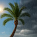 Meteo: weekend mite ma domenica delle palme peggiora. Dove?