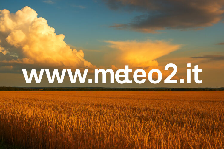 Meteo: l’Estate 2025 tra caldo africano e possibili sorprese. Cosa ci aspetta tra luglio e agosto? Meteo: l’Estate 2025 tra caldo africano e possibili sorprese. Cosa ci aspetta tra luglio e agosto?