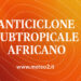 Anticiclone subtropicale africano: protagonista assoluto dell’estate 2025