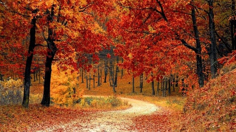Meteo autunno 2025: previsioni stagionali per novembre
