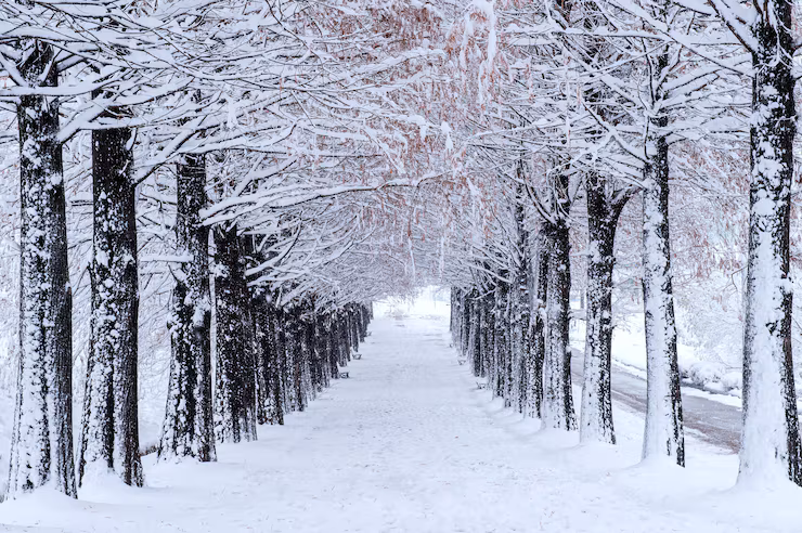 Come sarà l’inverno 2026 dal punto di vista meteo? Cosa succederà? Come sarà l’inverno 2026 dal punto di vista meteo? Cosa succederà?