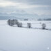Neve in pianura padana: analisi climatica, record storici e previsioni future